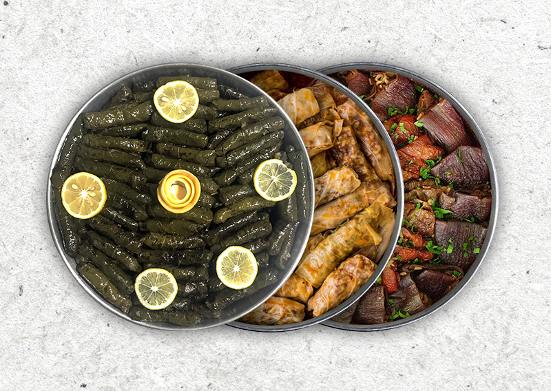 Zeytinyağlılar